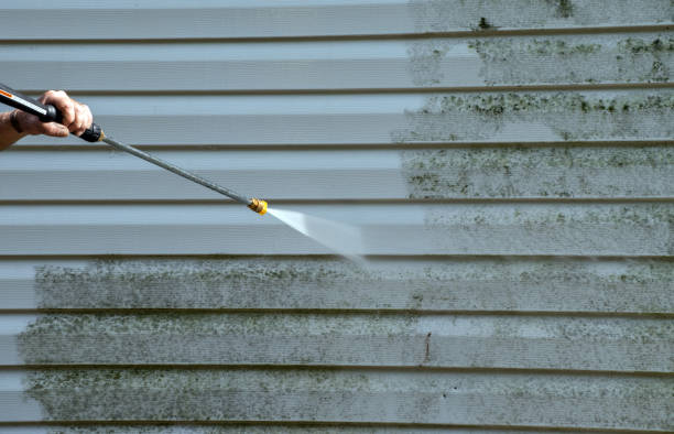 Best Patio and Deck Pressure Washing  in Ridgway, PA
